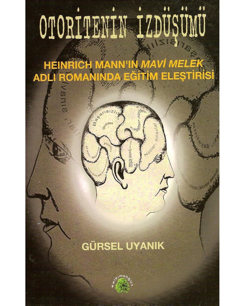 Otoritenin İzdüşümü